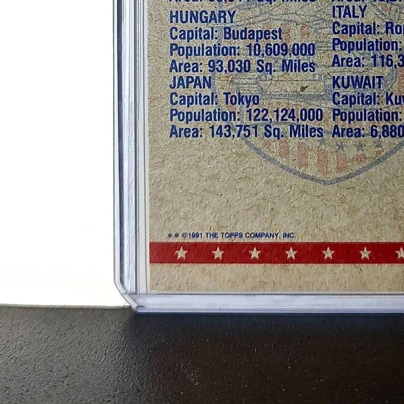 The View from Above 1991 Topps Desert Storm #81 Card