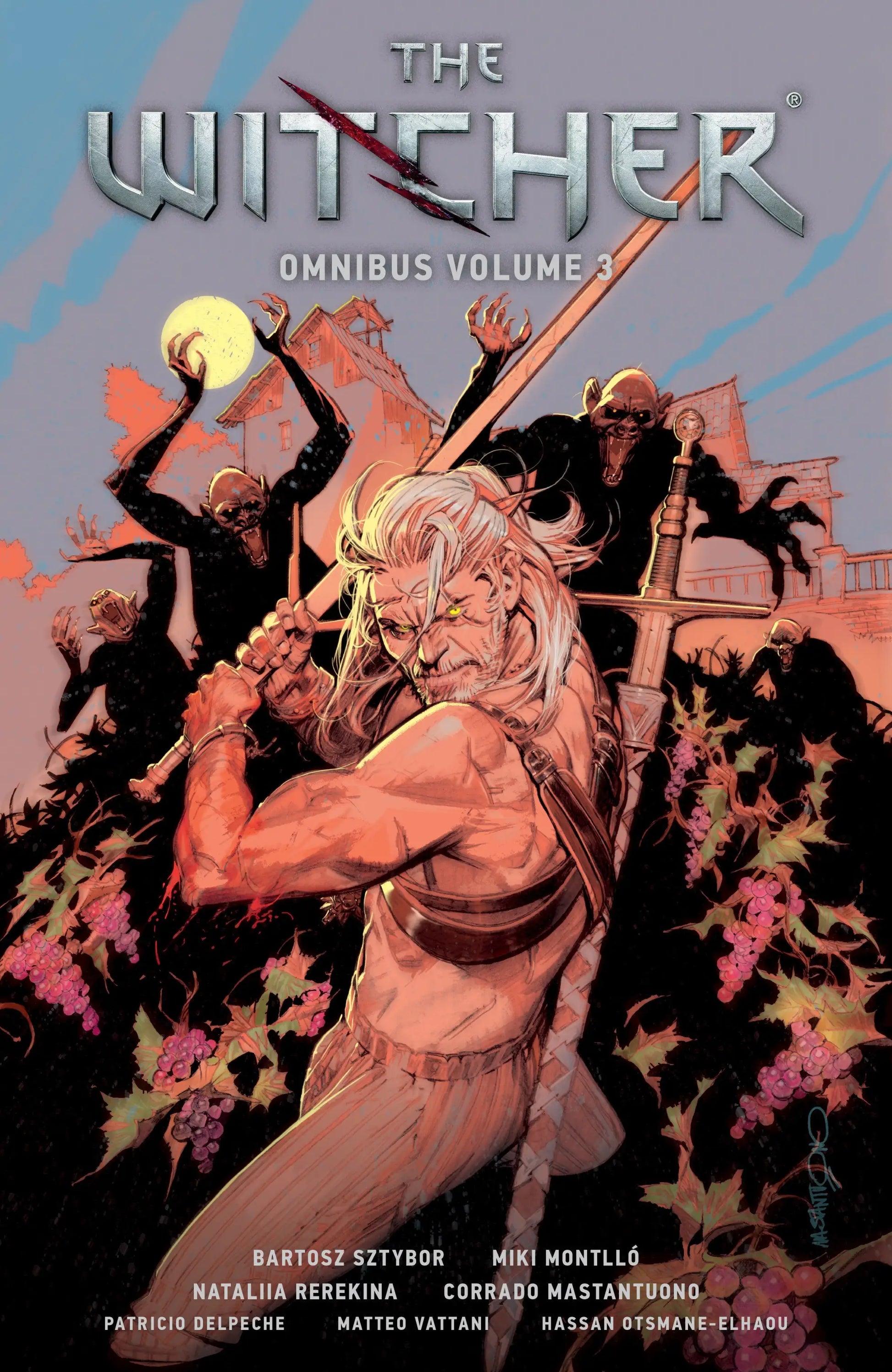 The Witcher Omnibus Volume 3 - Graphic Novels