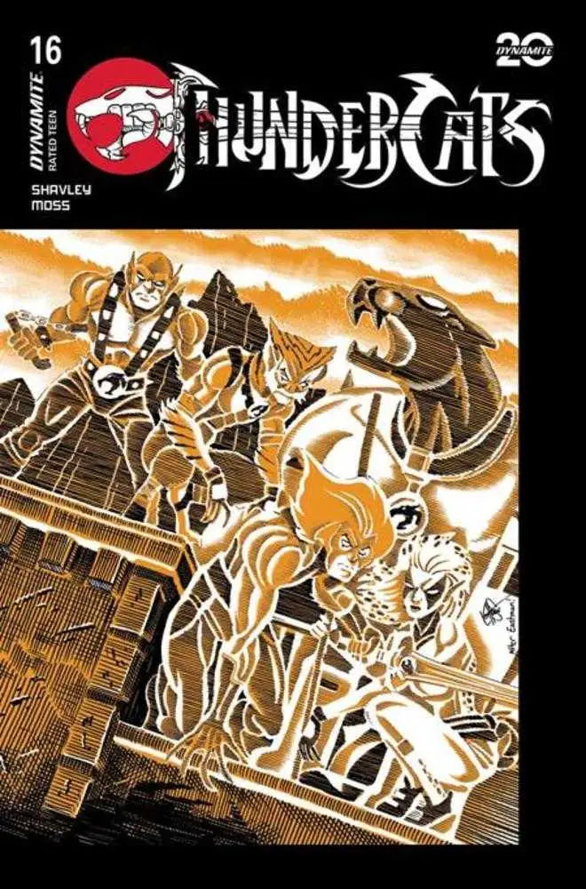 Thundercats #16 Cover G Ken Haeser Teenage Mutant Ninja Turtles Homage Variant - Back Issues