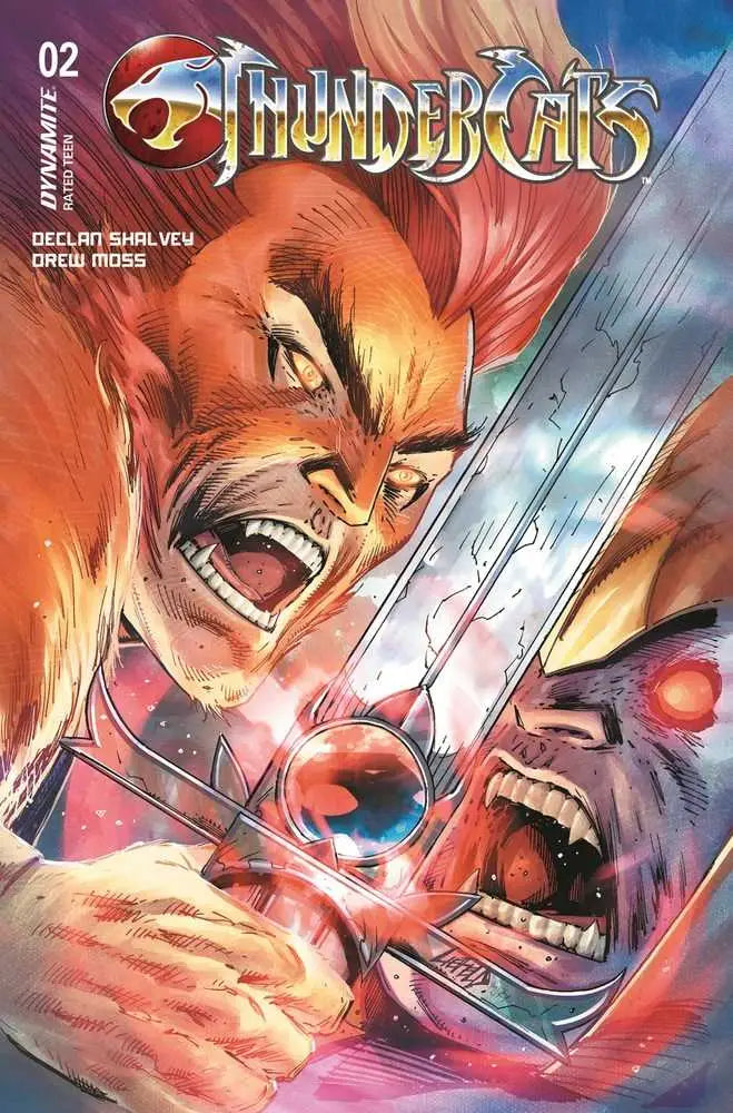 Thundercats #2 Cover W Foc Liefeld Original - Comic Book