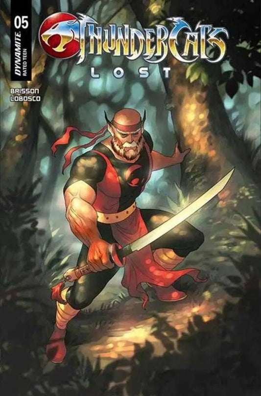Thundercats Lost #5 Cover C Meghan Hetrick Variant - Comic Book