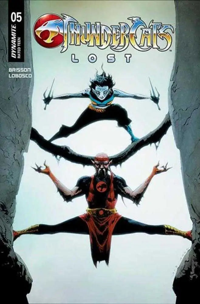 Thundercats Lost #5 Cover E Jae Lee June Chung Variant - Back Issues