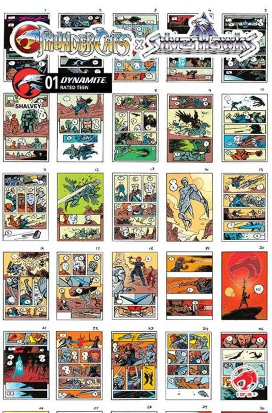 Thundercats X Silverhawks #1 Cover I 1 in 10 Declan Shalvey Layouts Variant - Back Issues