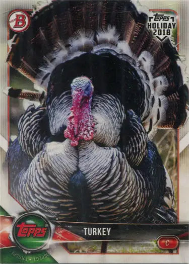 Turkey with fanned-out tail feathers and red wattle on Topps Holiday Baseball card