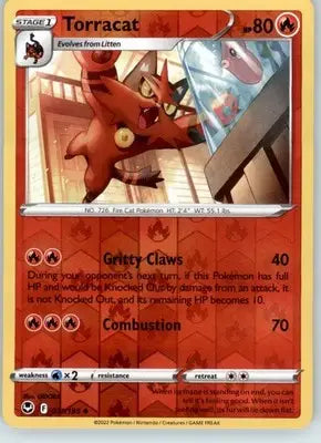 Torracat - SWSH12: Silver Tempest - 031/195 - Reverse Holo LP - Pokémon Card Single