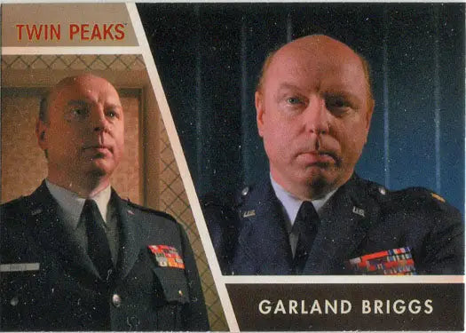 Split-screen portrait of Garland Briggs in military dress uniform for trading cards