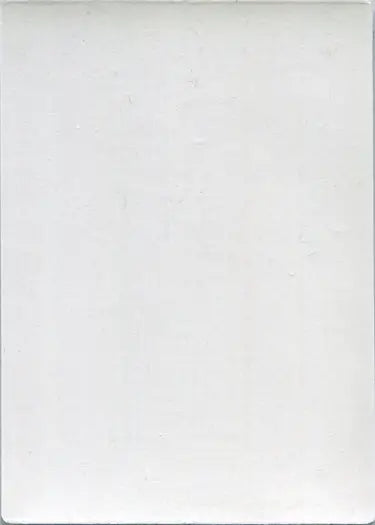 Blank white canvas or paper featured in Upper Deck Adventures In Toon World trading cards