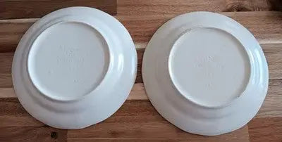 Vintage 2 Pfaltzgraff Tea Rose Dinner Plates 7 1/4’’ Surface Check Out The PICS