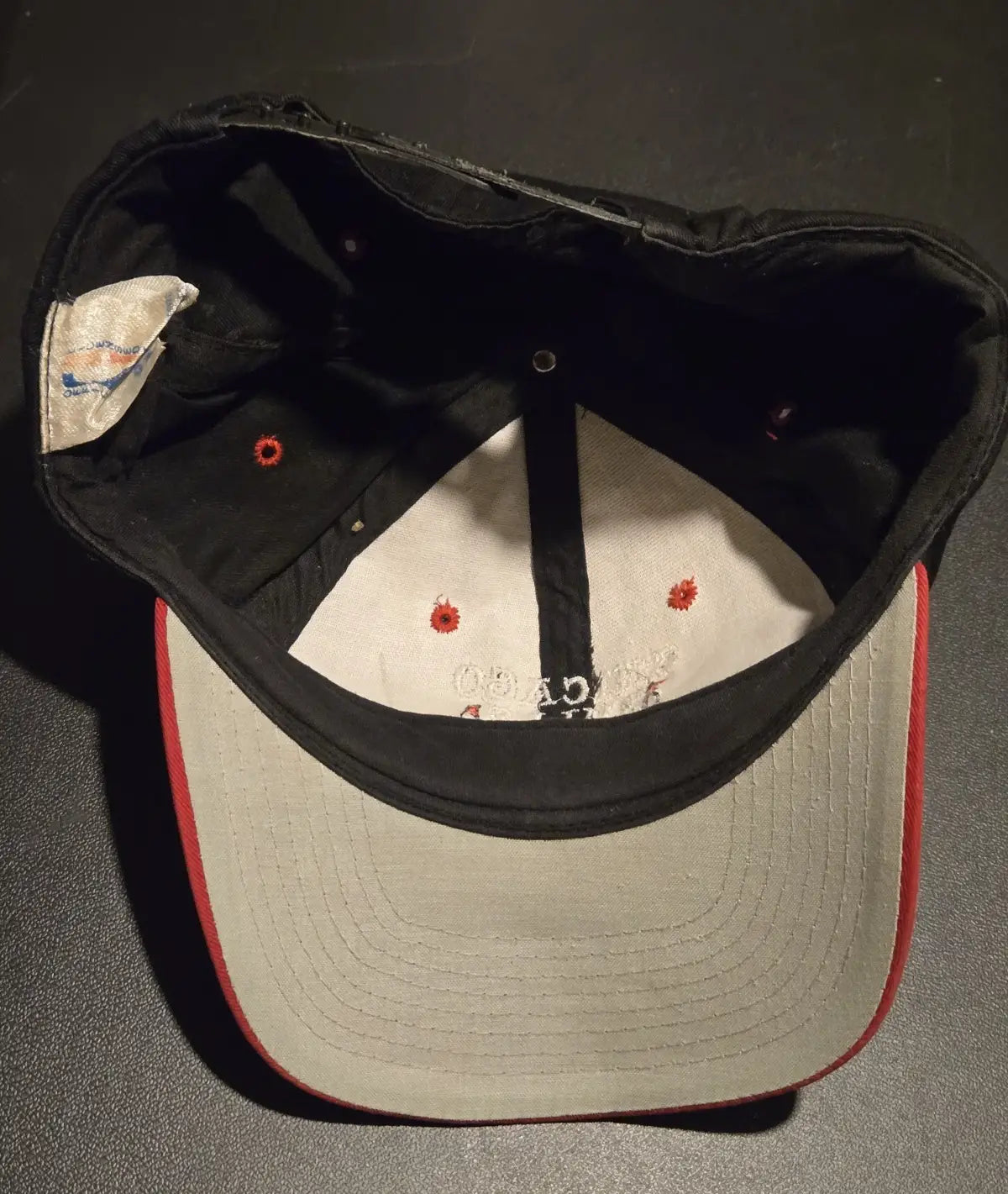 Vintage Chicago Bulls Snapback Hat + Michael Jordan & D.Rodman Graded card Lot