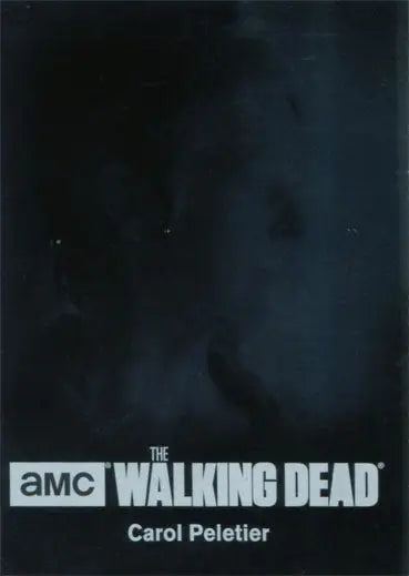 Dark promotional image of The Walking Dead logo for Silver Parallel trading cards