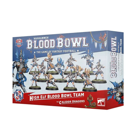 Warhammer: BLOOD BOWL: HIGH ELF BLOOD BOWL TEAM