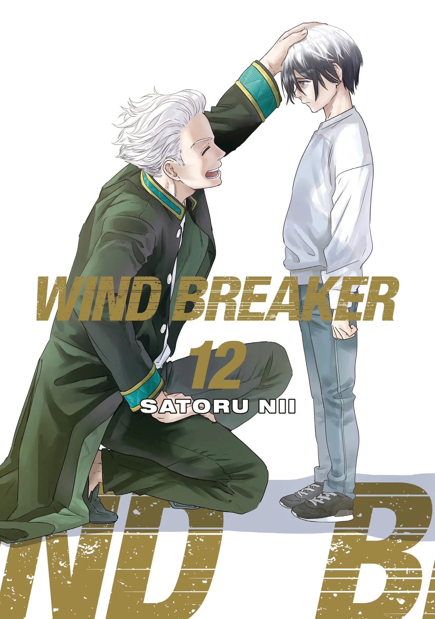 Wind Breaker manga cover from high school sports series featured in Wind Breaker 12