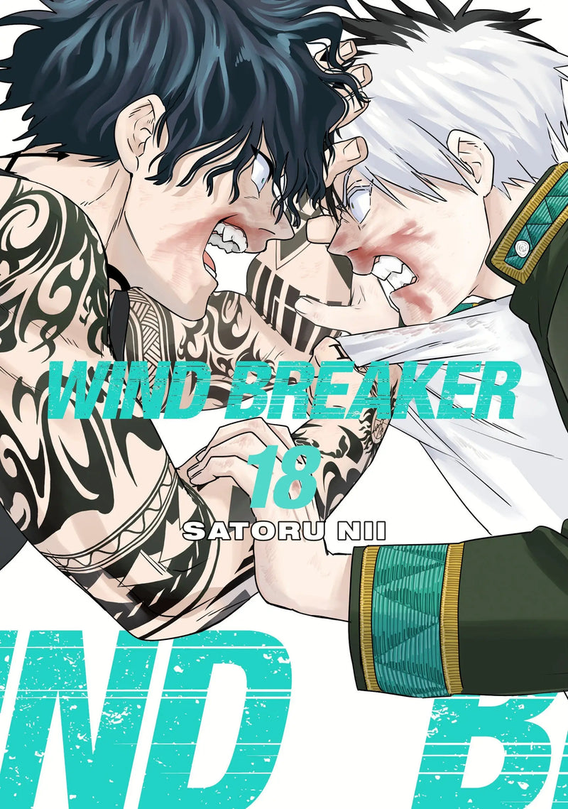 Wind Breaker 18 - Comic Book