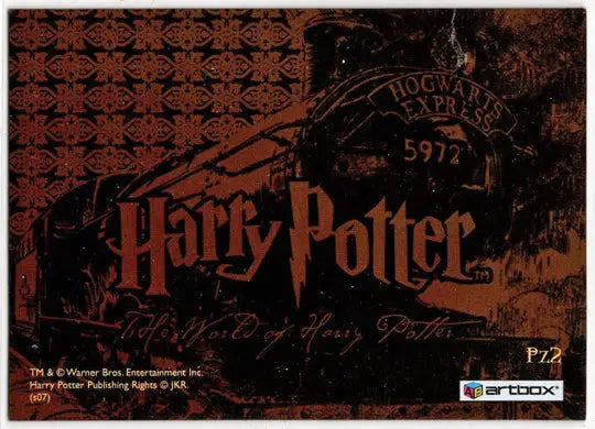 World of Harry Potter In 3D 1st Edition Lenticular Puzzle Card PZ2 - Non-Sports Card Single