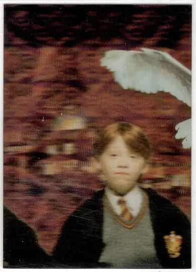 World of Harry Potter In 3D 1st Edition Lenticular Puzzle Card PZ2 - Non-Sports Card Single