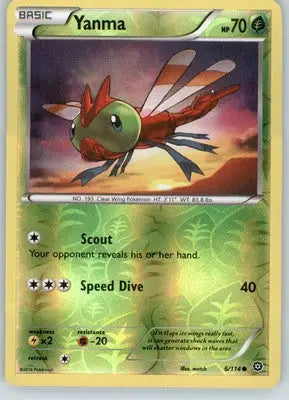 Yanma - XY - Steam Siege - Reverse Holo LP - #6/114 - Pokémon Card Single