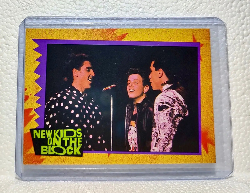 Young Kid 1989 New Kids on the Block #58 Trading Card - Other