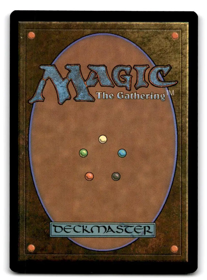 Zendikar Rising #384 Forest - Magic Card Single
