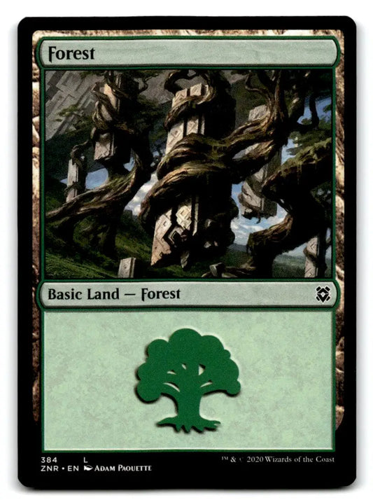 Zendikar Rising #384 Forest - Magic Card Single