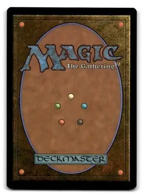 Zendikar Rising #384 Forest - Magic Card Single