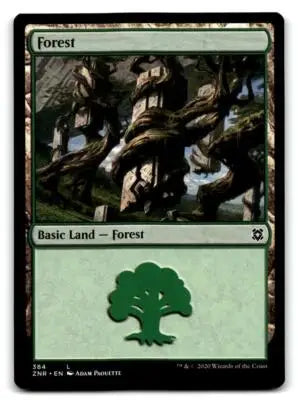 Zendikar Rising #384 Forest - Magic Card Single