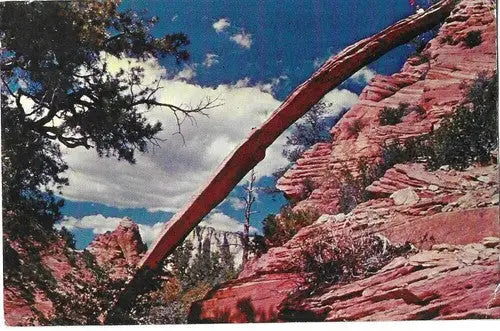 Zion National Park Utah FS-573 Ferris H. Scott Post Card Western Resort Publica - Other